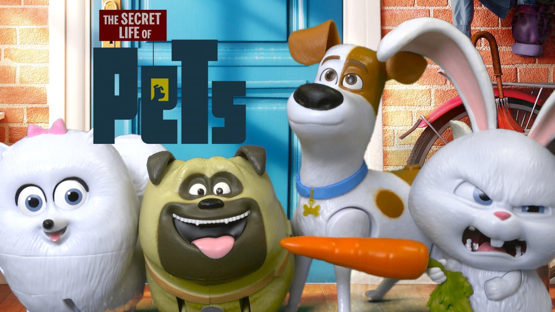 1920x1080 Wall.Cookdiary.net Secret Life of Pets Wallpaper HD 21