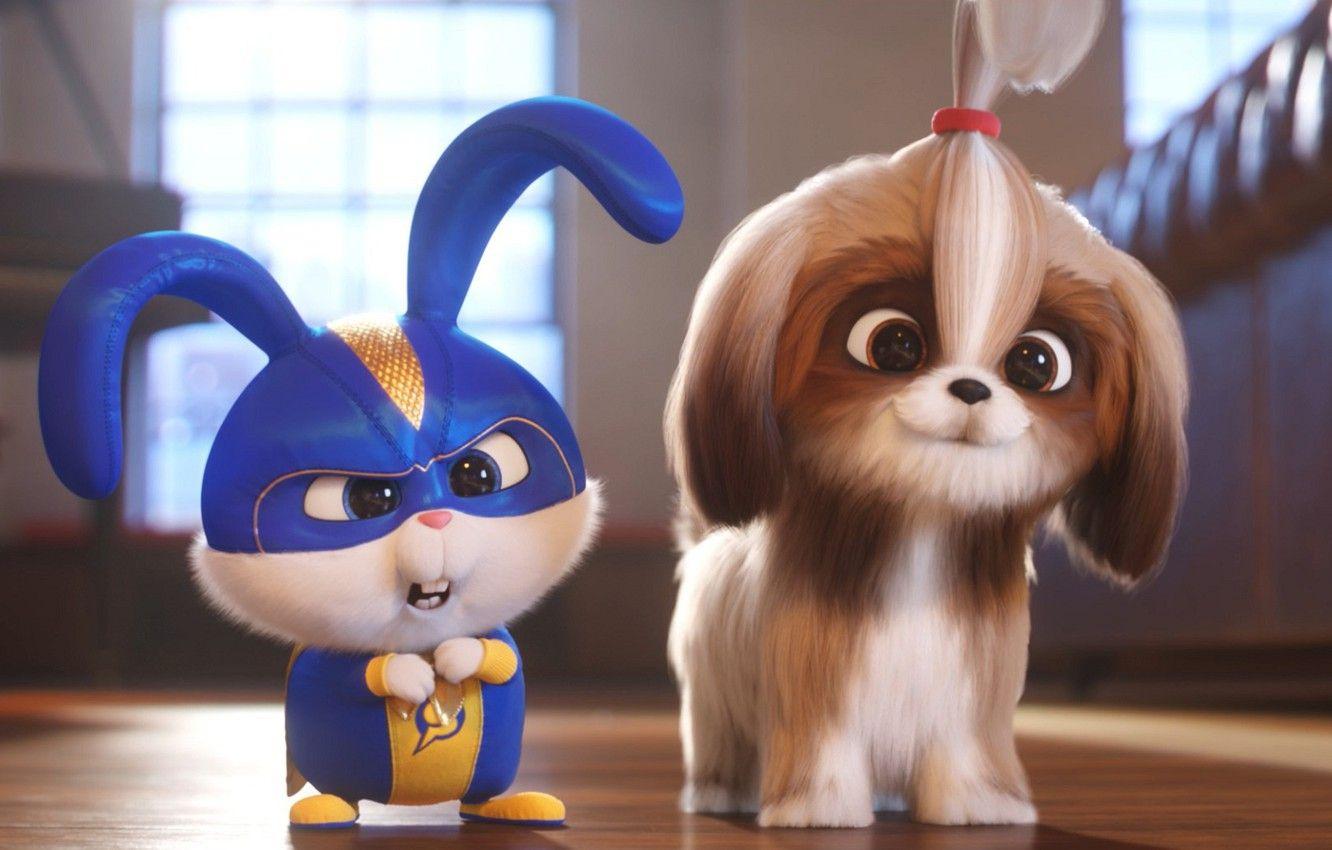 1332x850 Wallpaper rabbit, puppy, The secret life of Pets