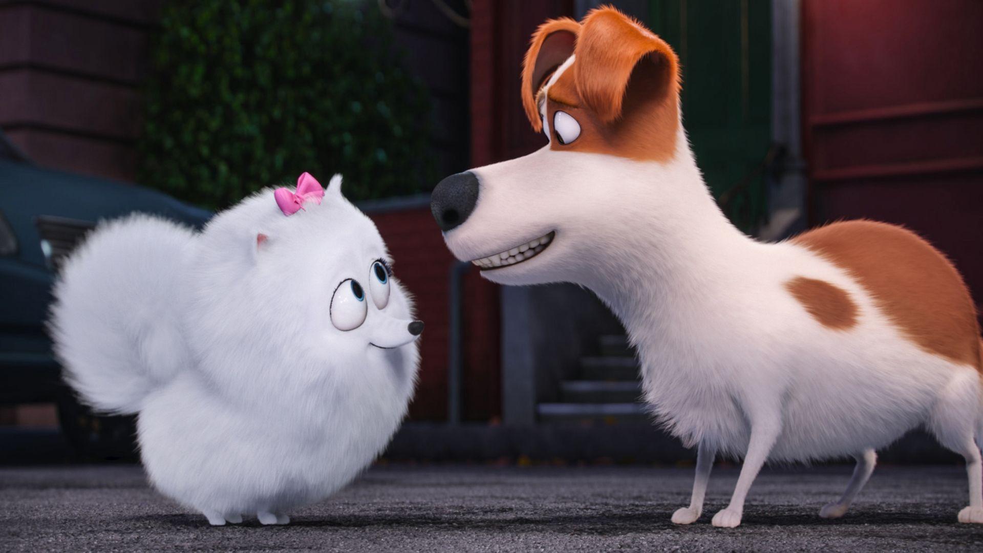 1920x1080 Wallpaper The Secret Life of Pets, dog, Best Animation