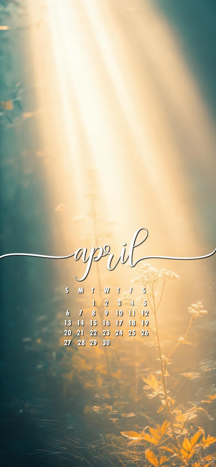 736x1592 April 2025 Calendar Wallpaper