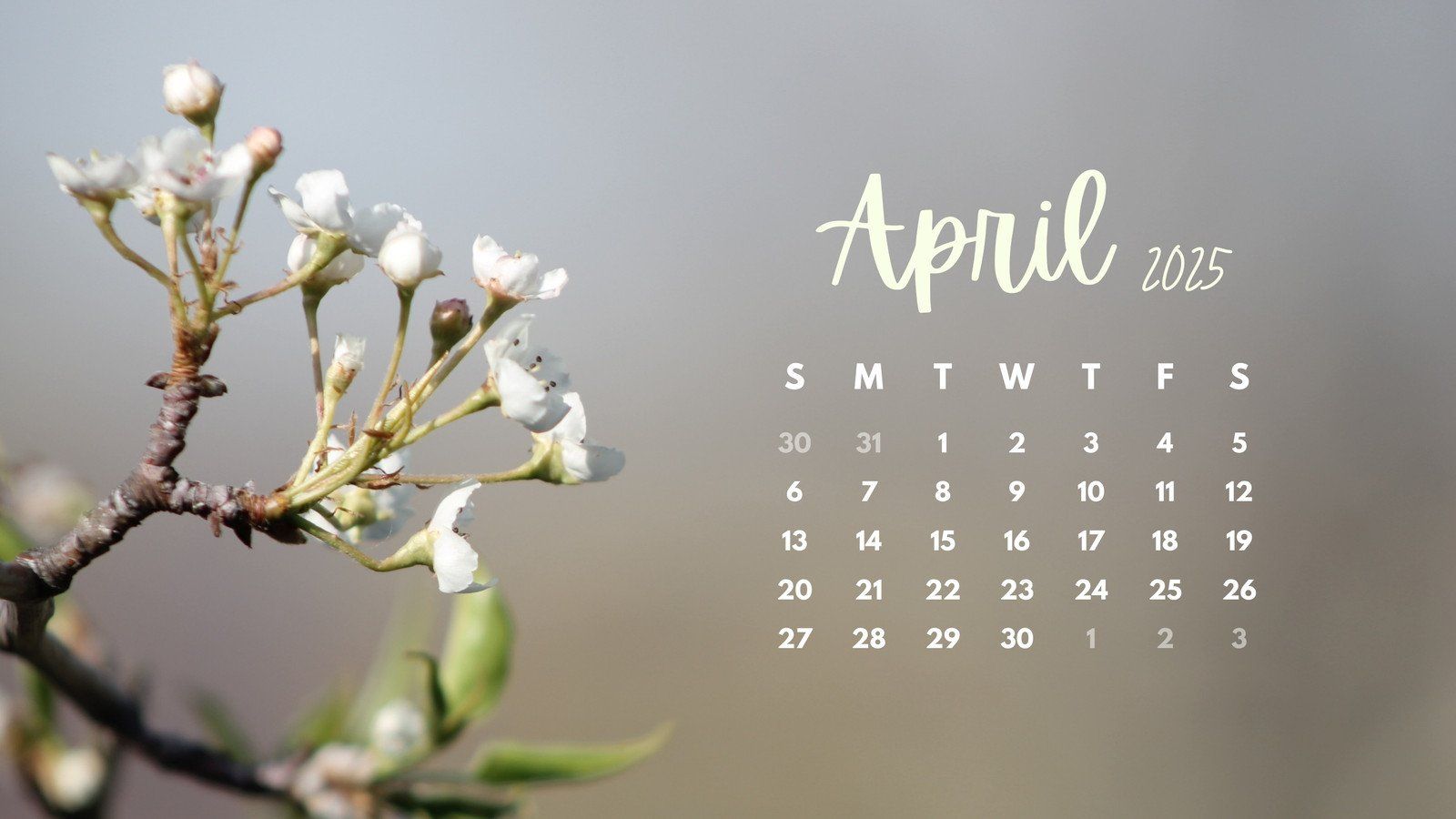 1600x900 spring desktop wallpaper templates