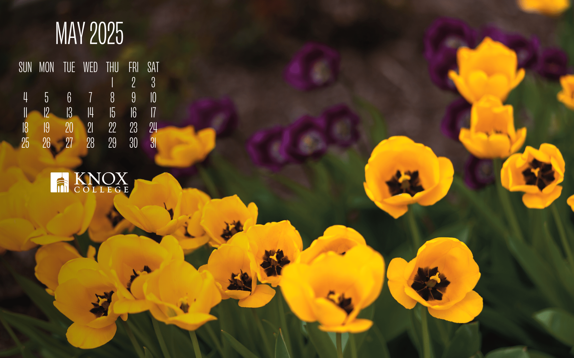 1920x1200 Knox Calendar