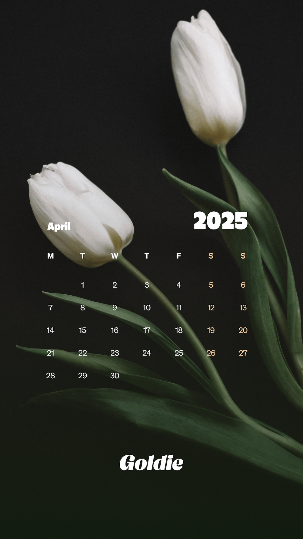 1000x1778 Free April 2025 Calendar Wallpaper
