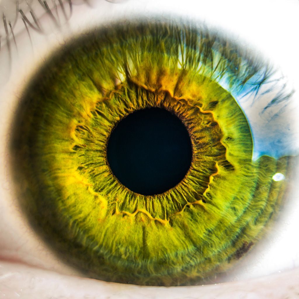 1024x1024 Eye Human Nature Pupil Body Science