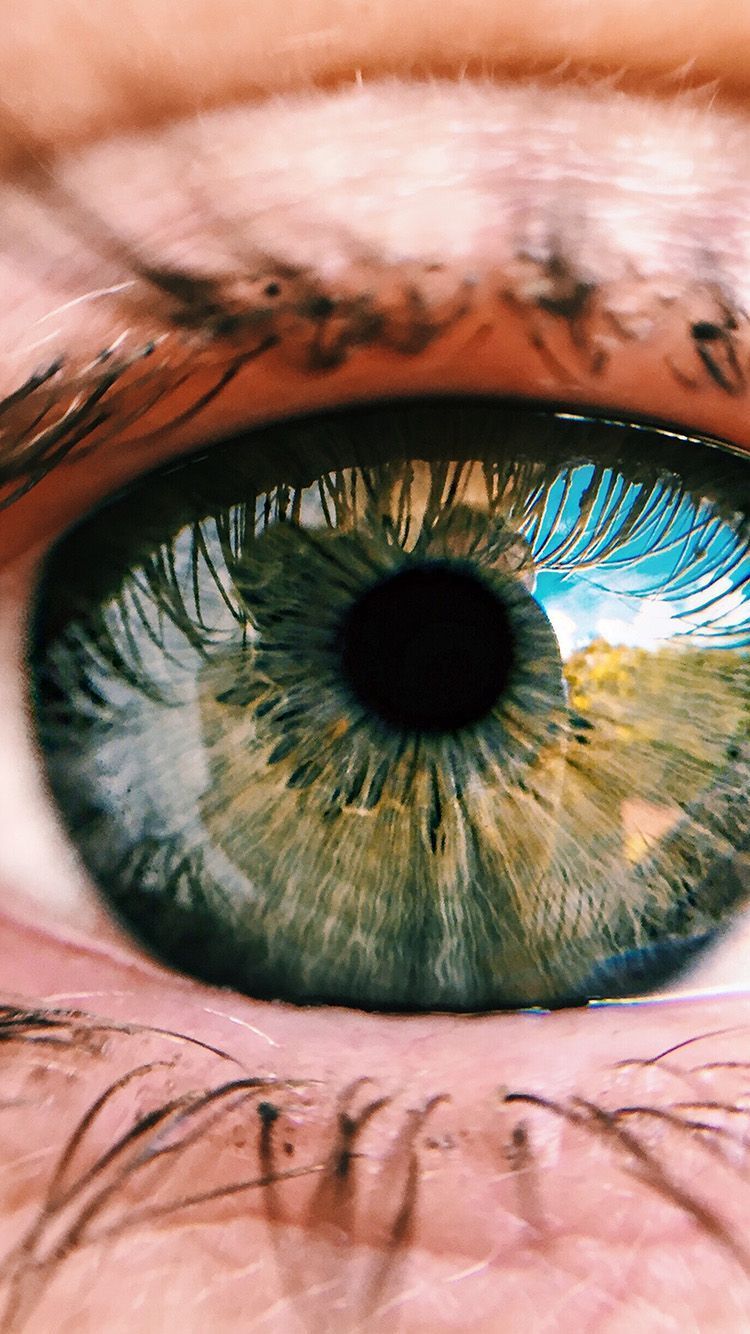 750x1334 Eye Face Human Nature Wallpaper