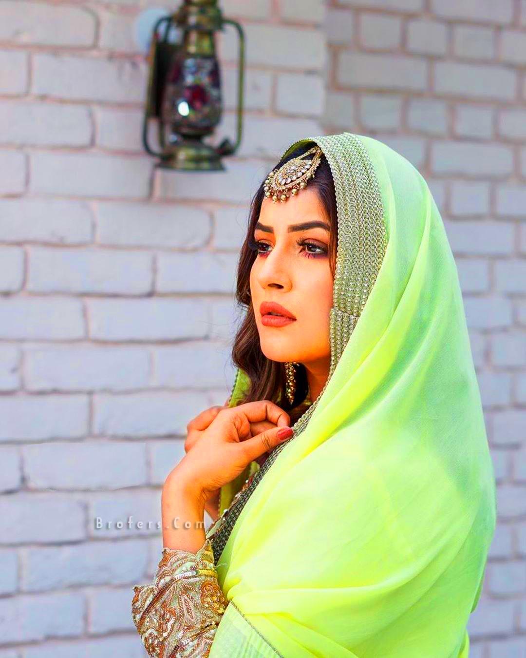 1080x1350 Shehnaaz Kaur Gill Wallpaper