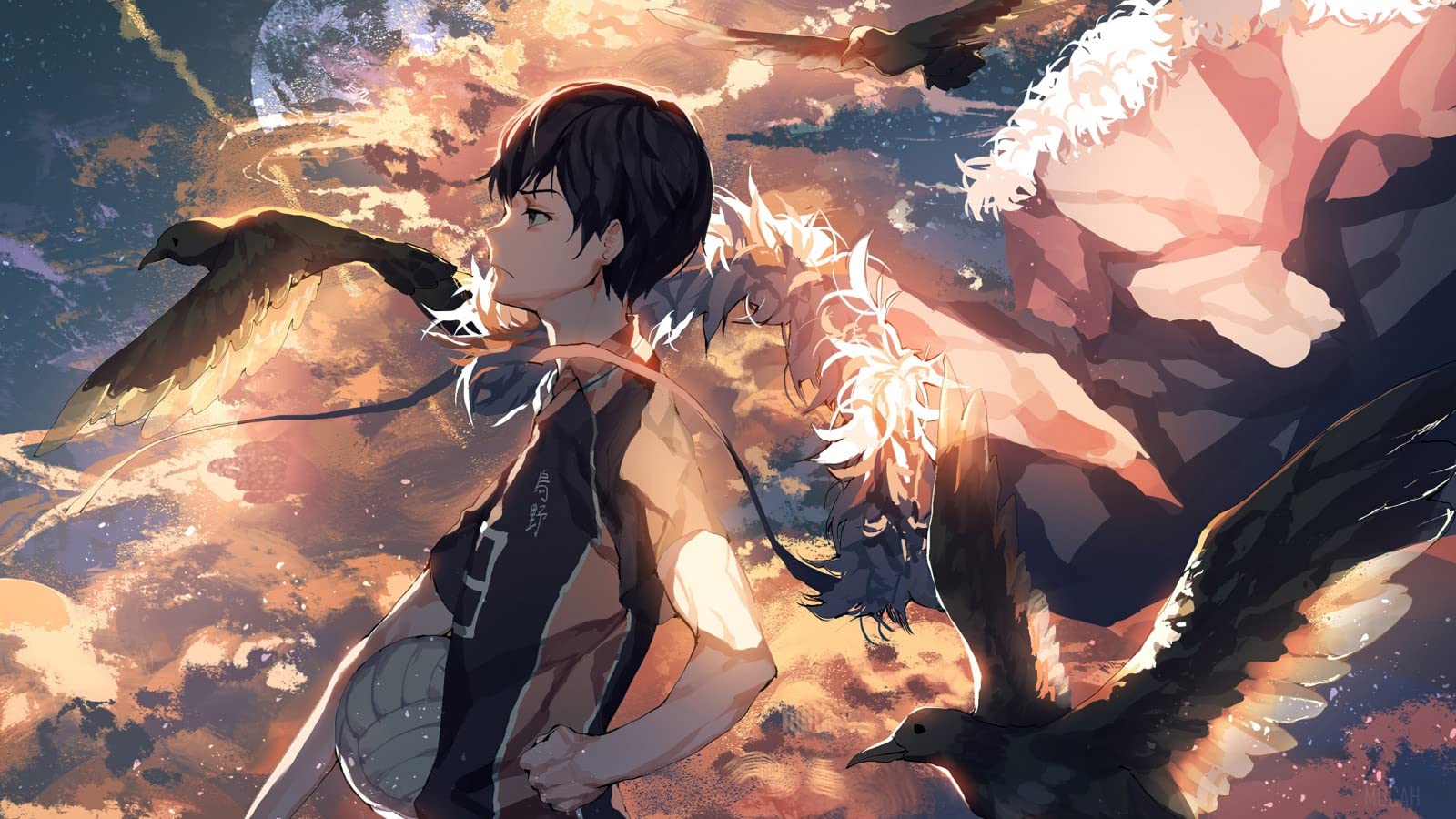 1600x900 Murals Wall Art Anime Haikyuu!! Color
