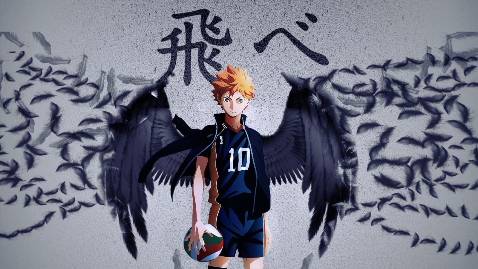 1600x900 Murals Wall Art Anime Haikyuu!! Color