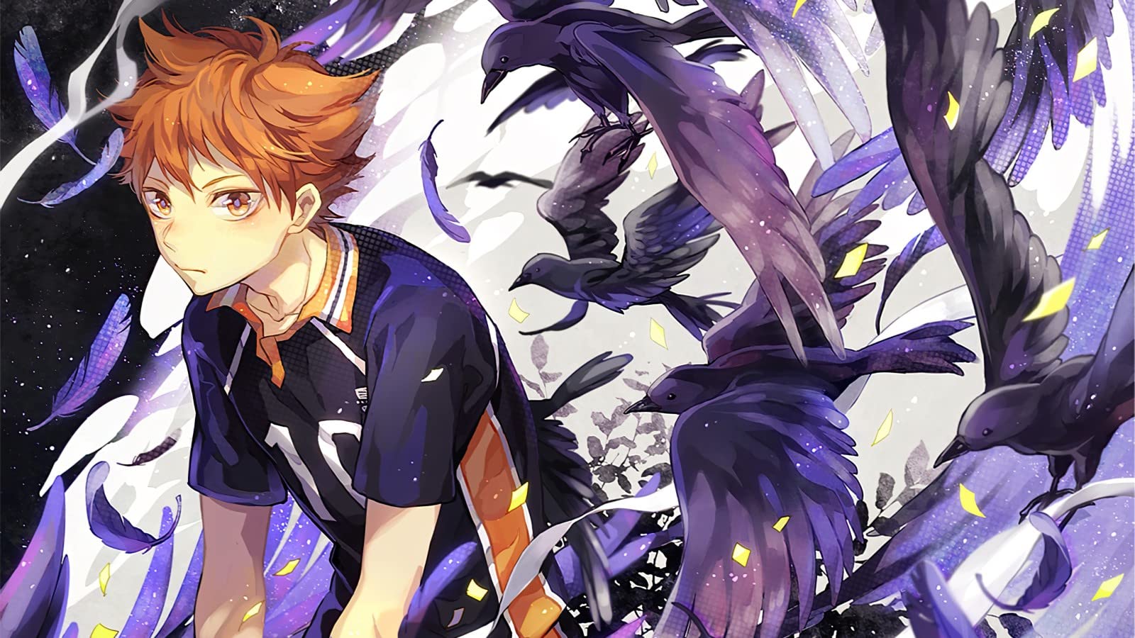 1600x900 Murals Wall Art Anime Haikyuu!! Color