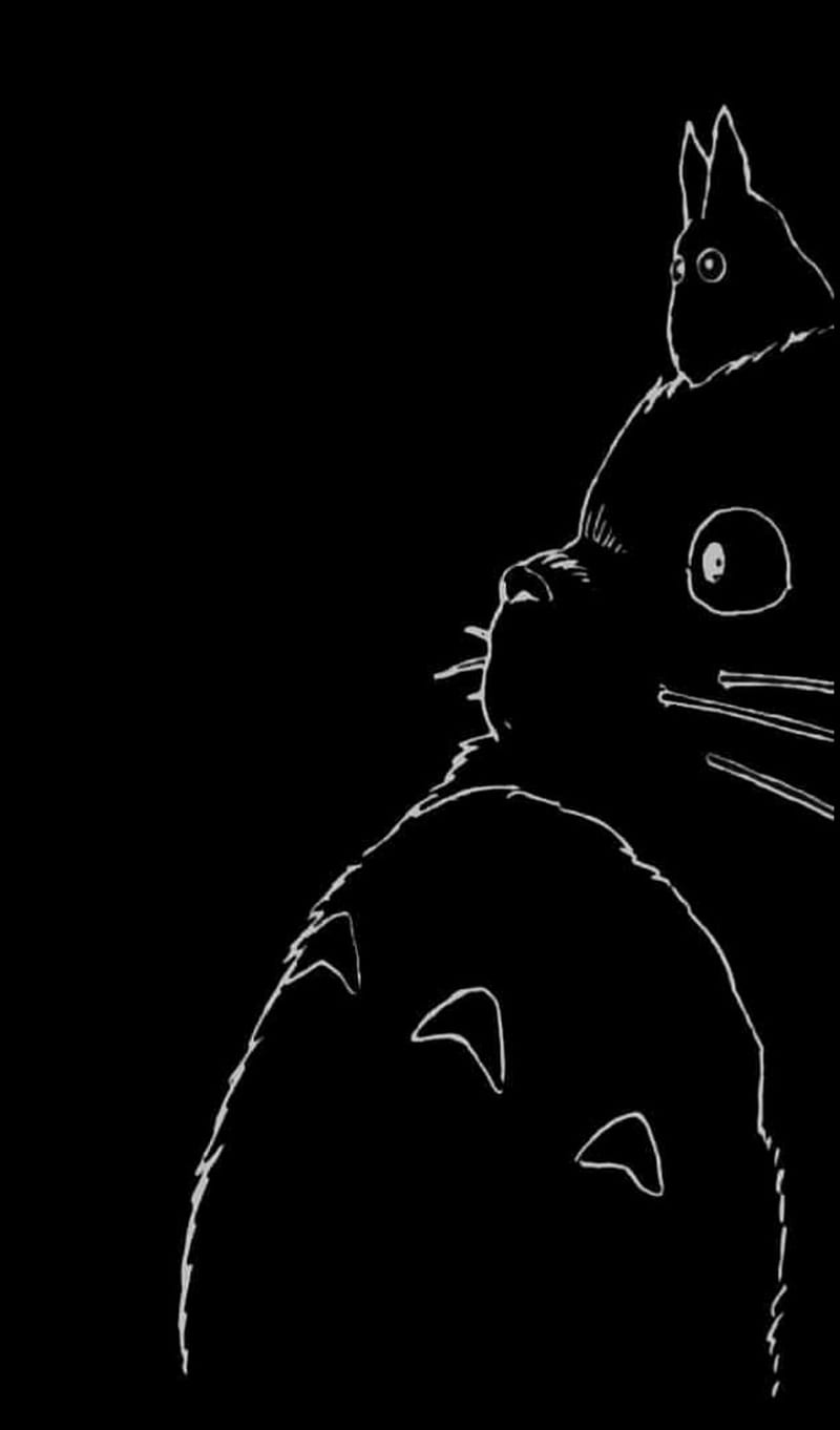 800x1362 HD totoro wallpaper