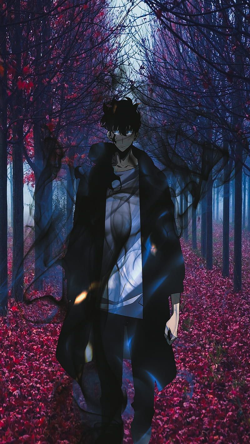 800x1421 HD solo leveling 2 wallpaper