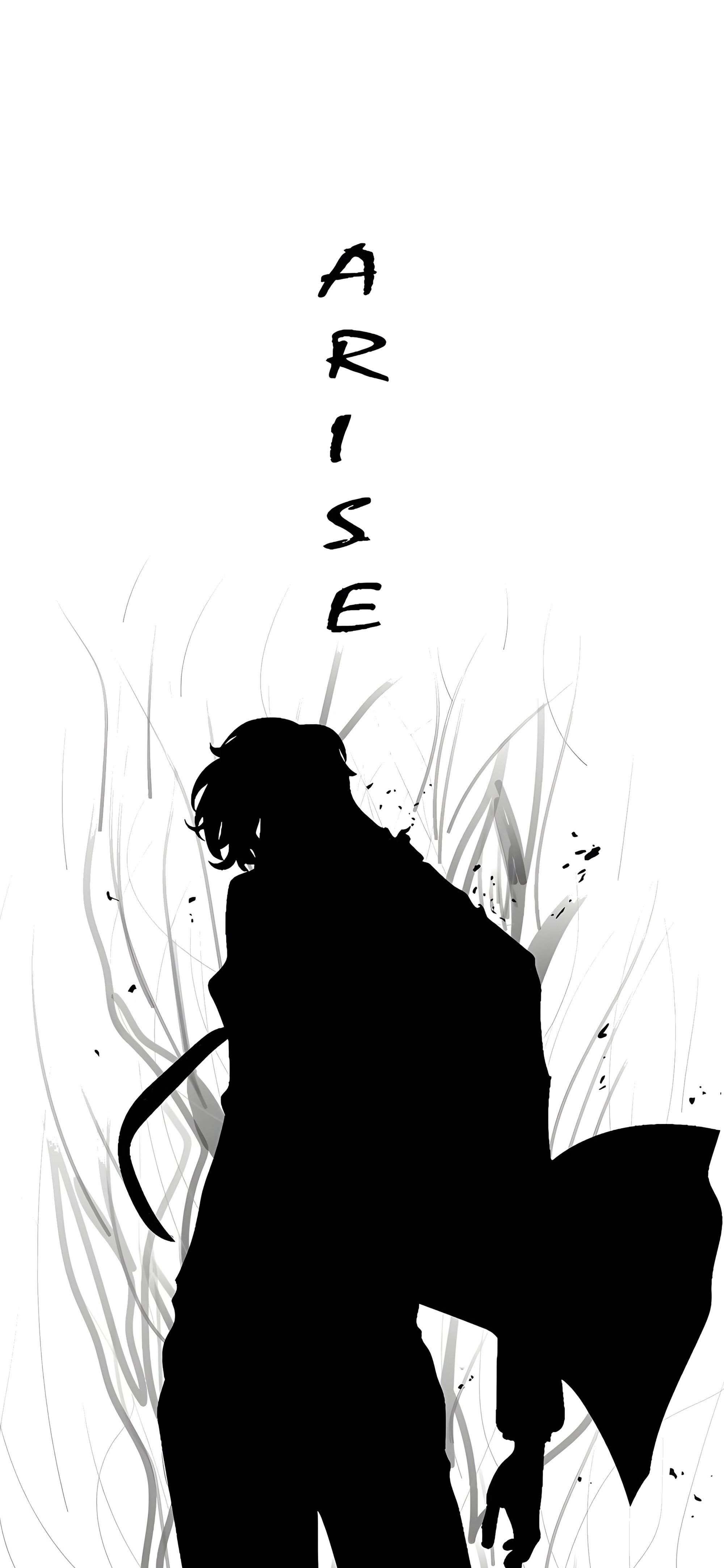 2000x4329 Sung Jinwoo Solo Leveling Minimalist