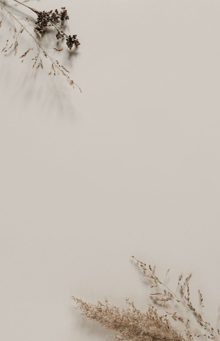 736x1138 MINIMALISM. Wedding background wallpaper, Gold wallpa. Wedding background wallpaper, Gold wallpaper background, Flower background wallpaper