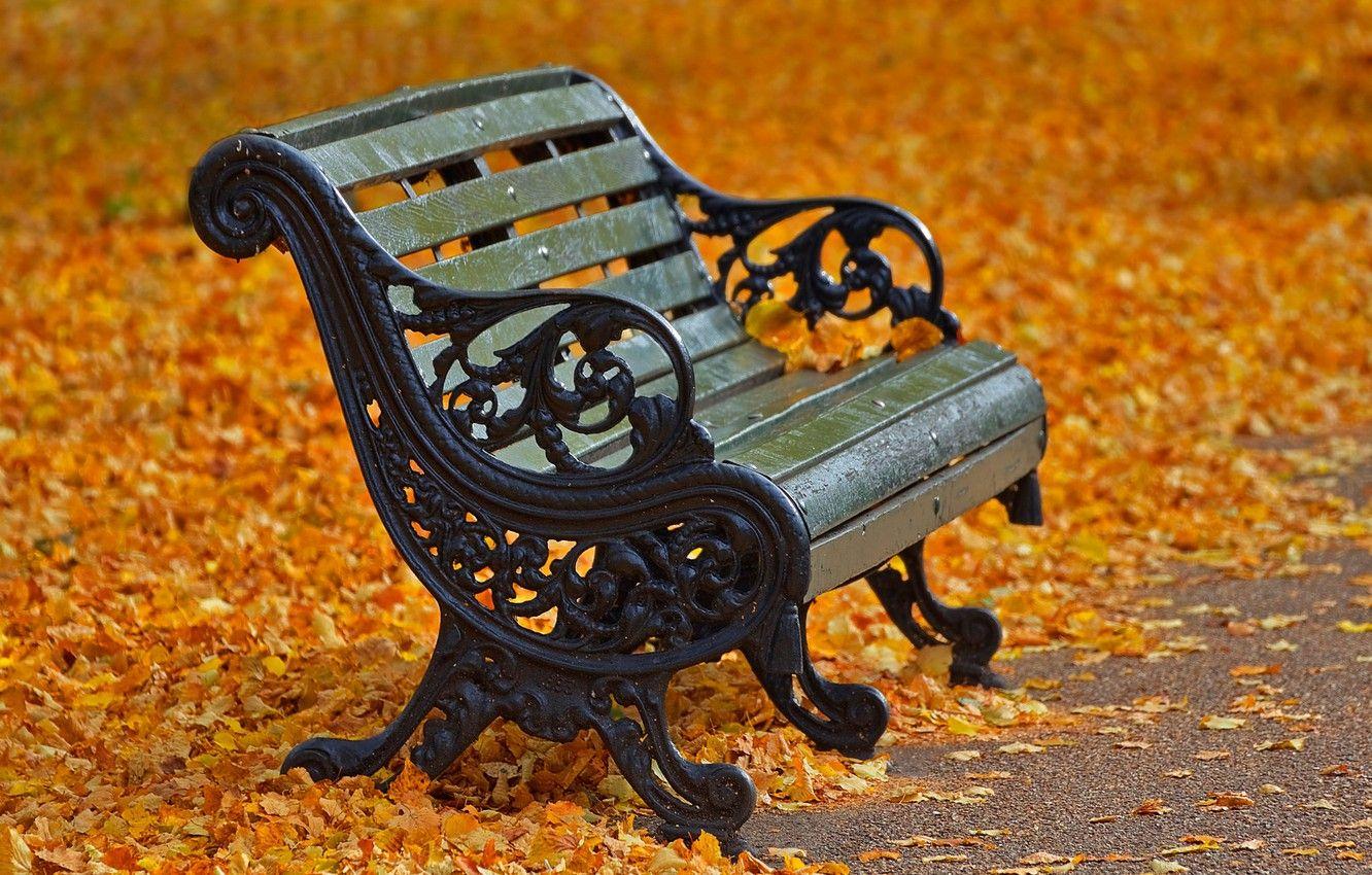 1332x850 Wallpaper autumn, leaves, London, bench, Regents Park image for desktop, section разное