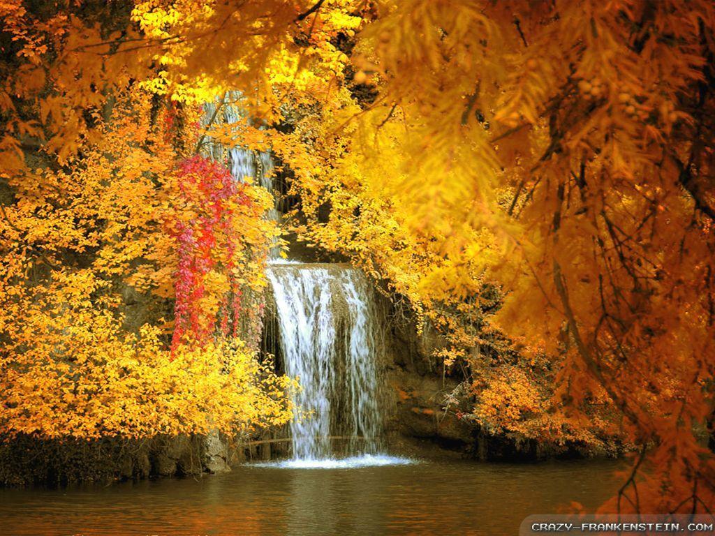 1024x768 Beautiful Autumn wallpaper