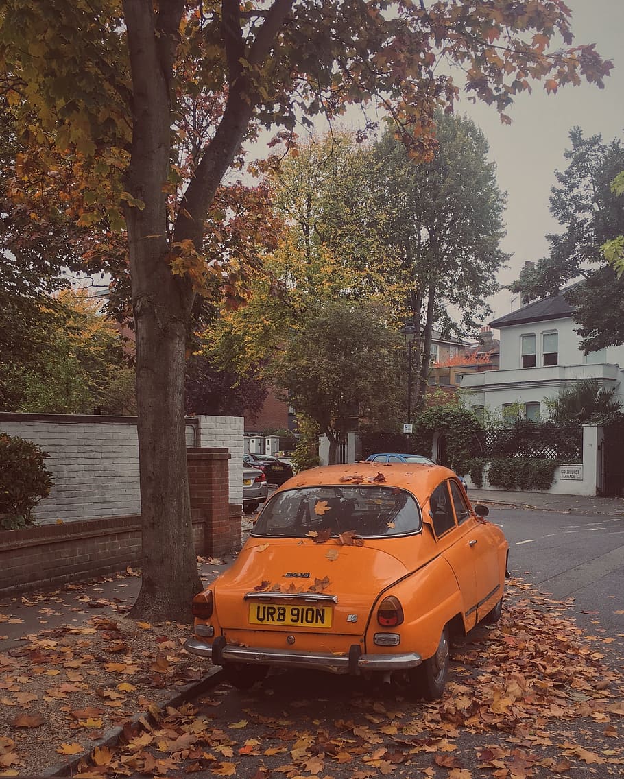910x1136 HD wallpaper: London, Street, England, autumn, urban, city, uk, leaves, fallen