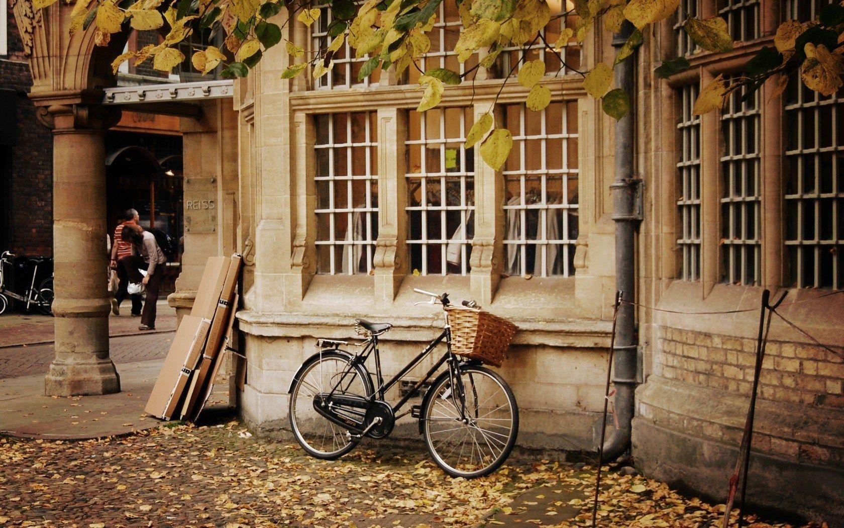 1680x1050 City Bicycle Basket Autumn Leaves wallpaperx1050