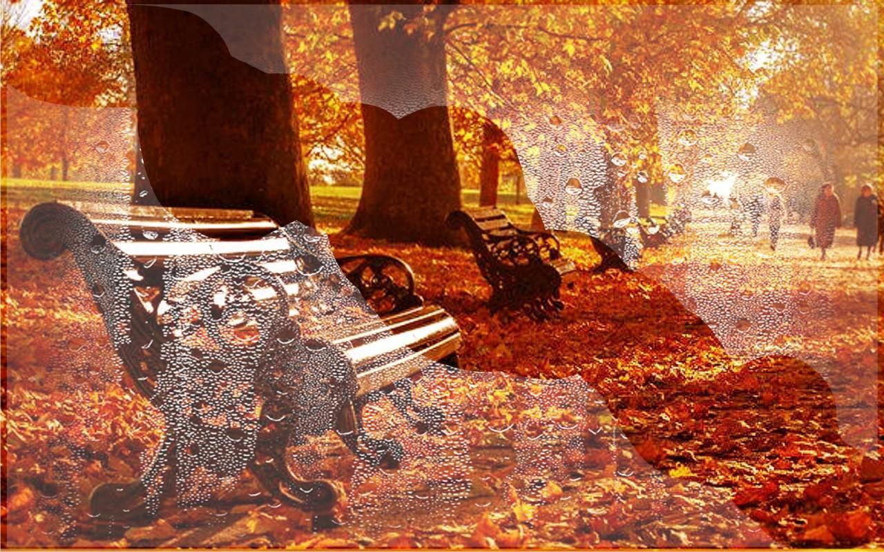 1280x800 Autumn London live wallpaper for Android
