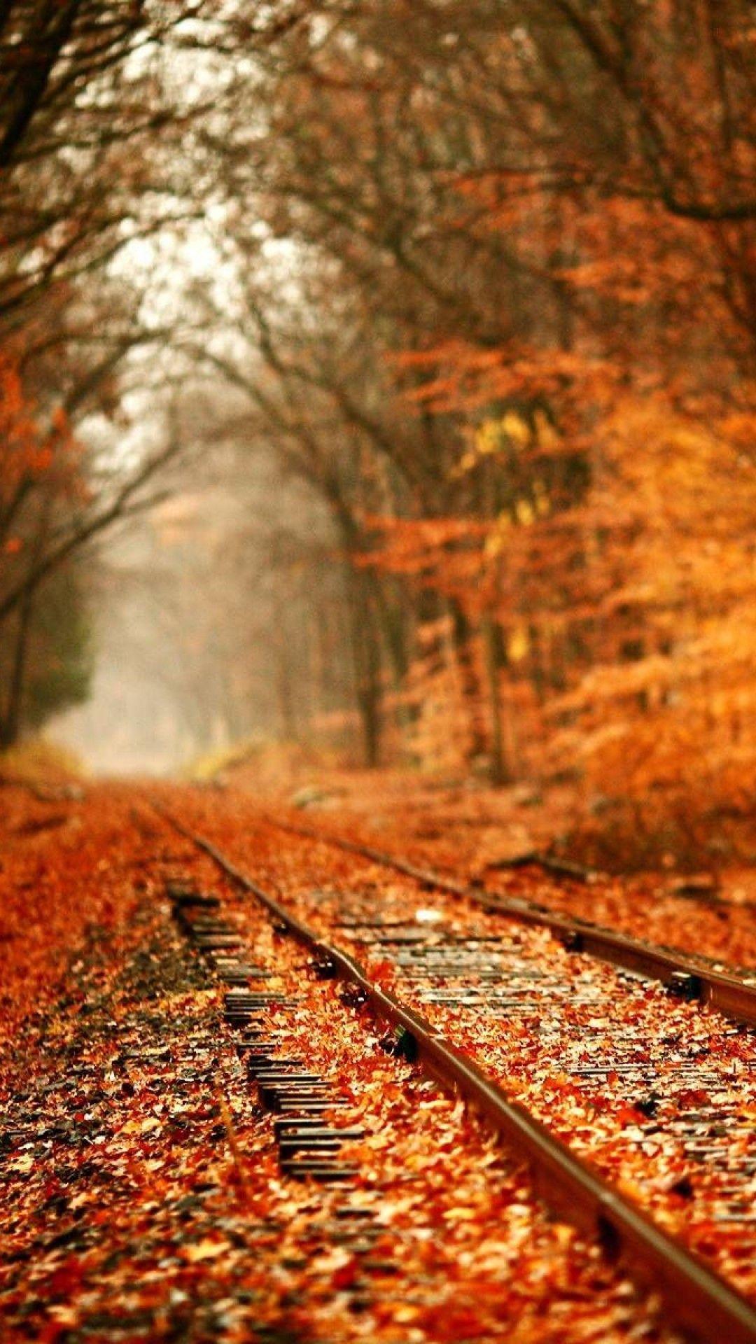1080x1920 Bakgrund. Fall wallpaper, Fall wallpaper