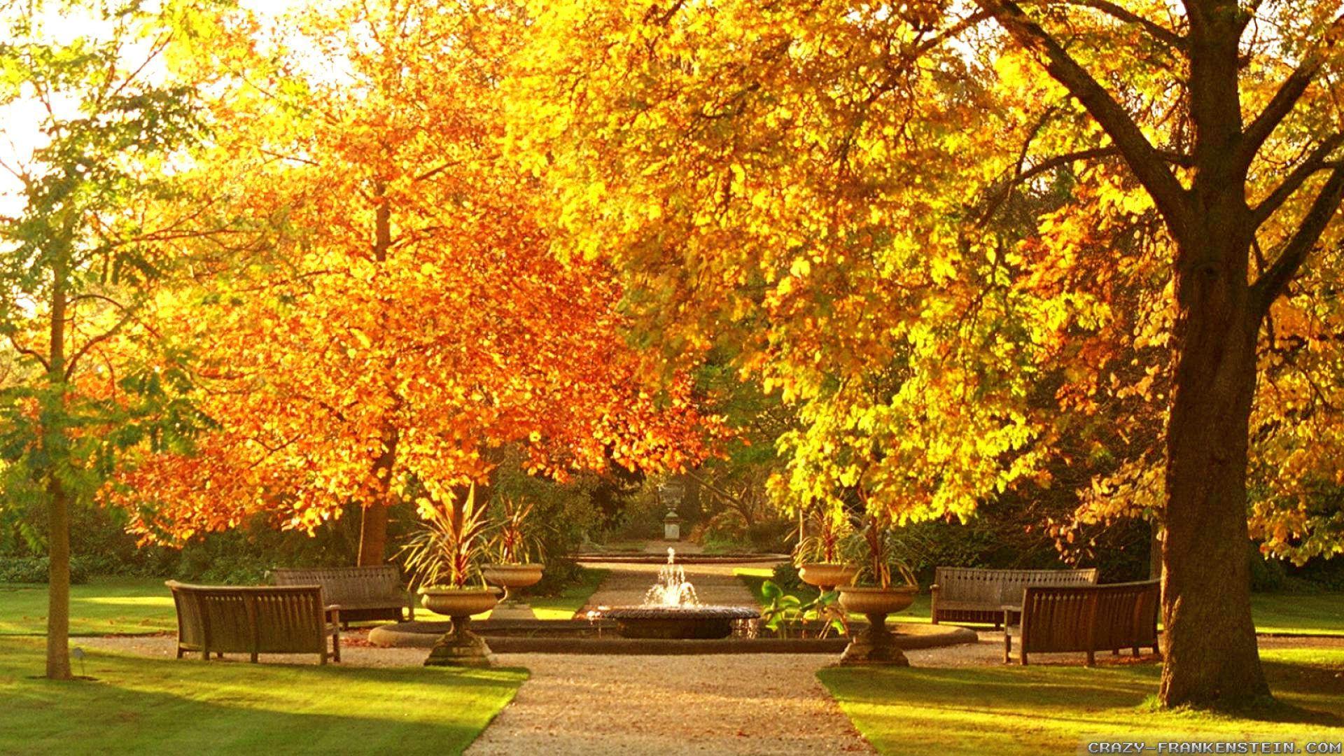 1920x1080 Beautiful Autumn wallpaper