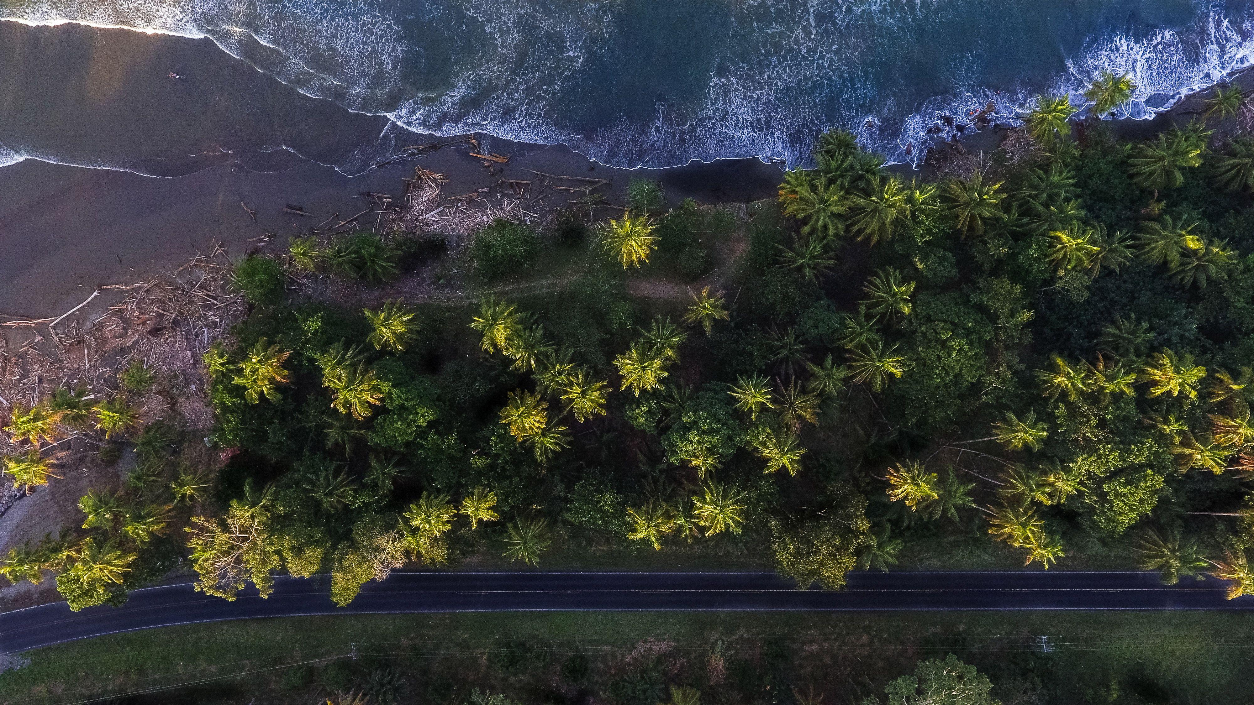 4000x2250 Aerial Shot Of Trees 4k, HD Nature, 4k Wallpaper, Image