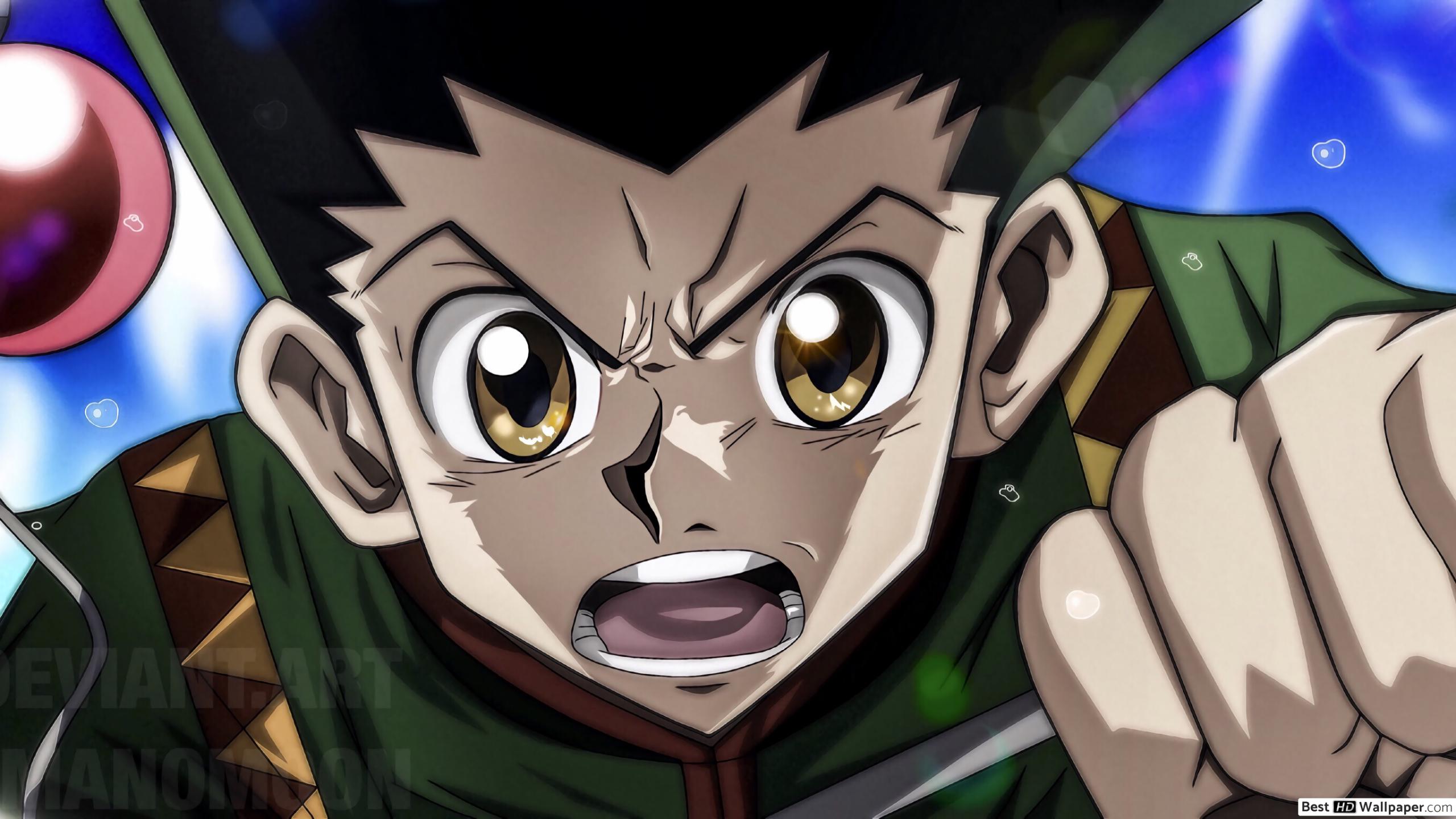 Hunter X Hunter Gon Wallpapers - Top Free Hunter X Hunter Gon