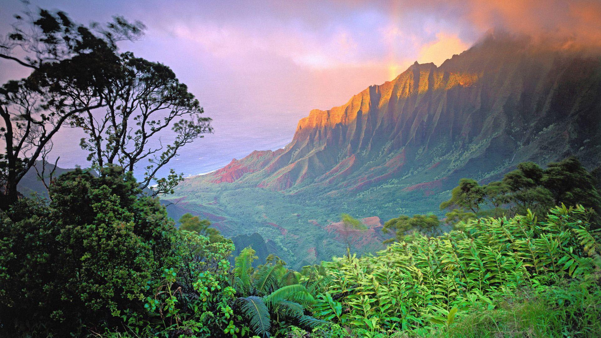 1920x1080 #mountains, #Hawaii, #forest, #cliff, #island