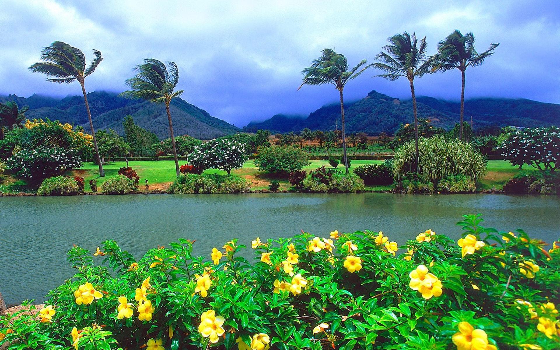 1920x1200 Maui Island (Hawaii) HD Wallpaper. Background Image