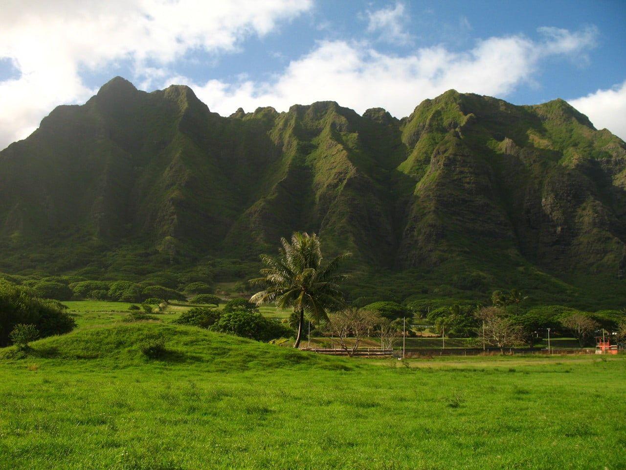 Oahu Hawaii Wallpapers Top Free Oahu Hawaii Backgrounds WallpaperAccess Oahu Hawaii Wallpapers Top Free Oahu Hawaii Backgrounds WallpaperAccess
