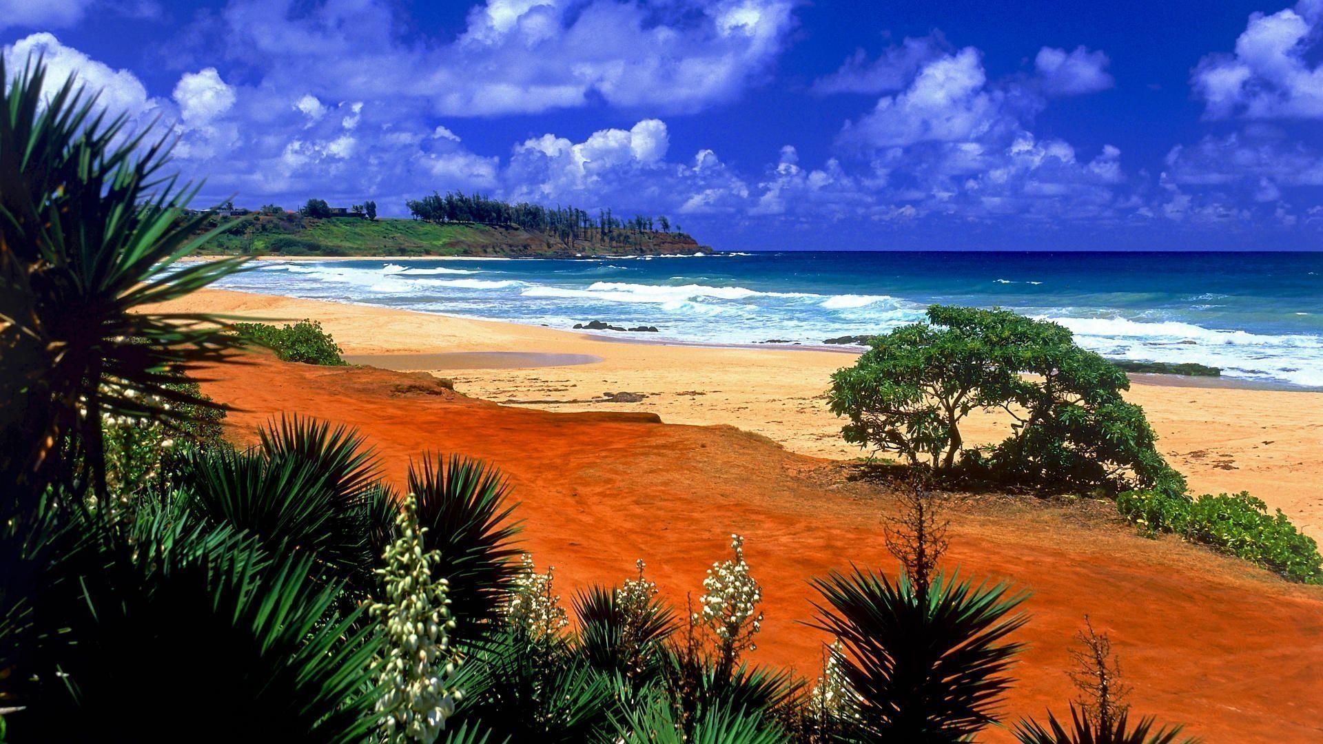 1920x1080 Hawaii Beach Landscape Wallpaper