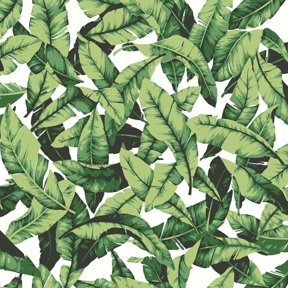 1200x1200 RoomMates Tropical Palm Leaf Peel and Stick Wallpaper Temporary Wallpaper That Are a Renter's Dream