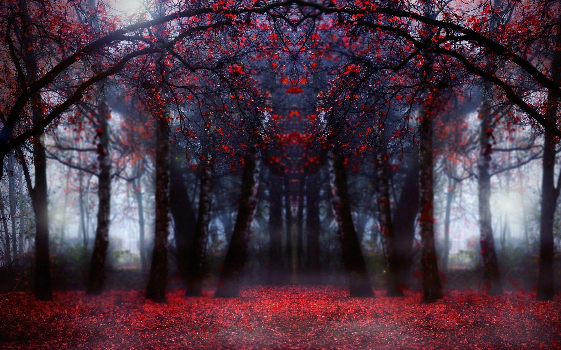 Red Forest HD wallpaper download