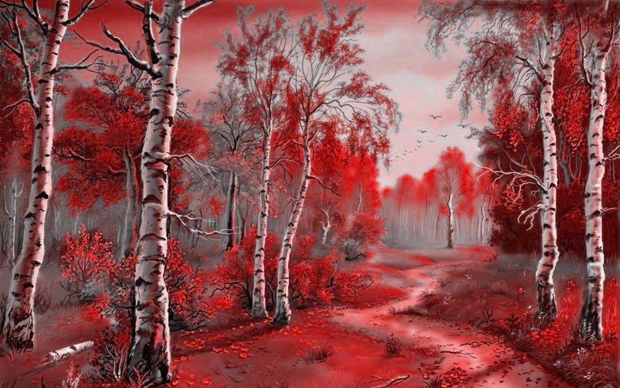 1280x800 Forest: Red Forest Color Rose Nature Flower Desktop Wallpaper Free