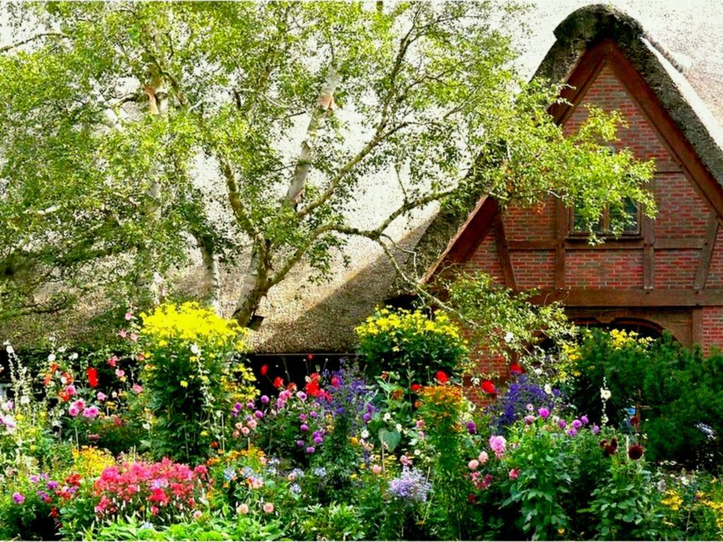Дом в цветущем саду. Молдованская деревня сад. Деревенский сад. Домик с цветущим садом. Дом в саду.