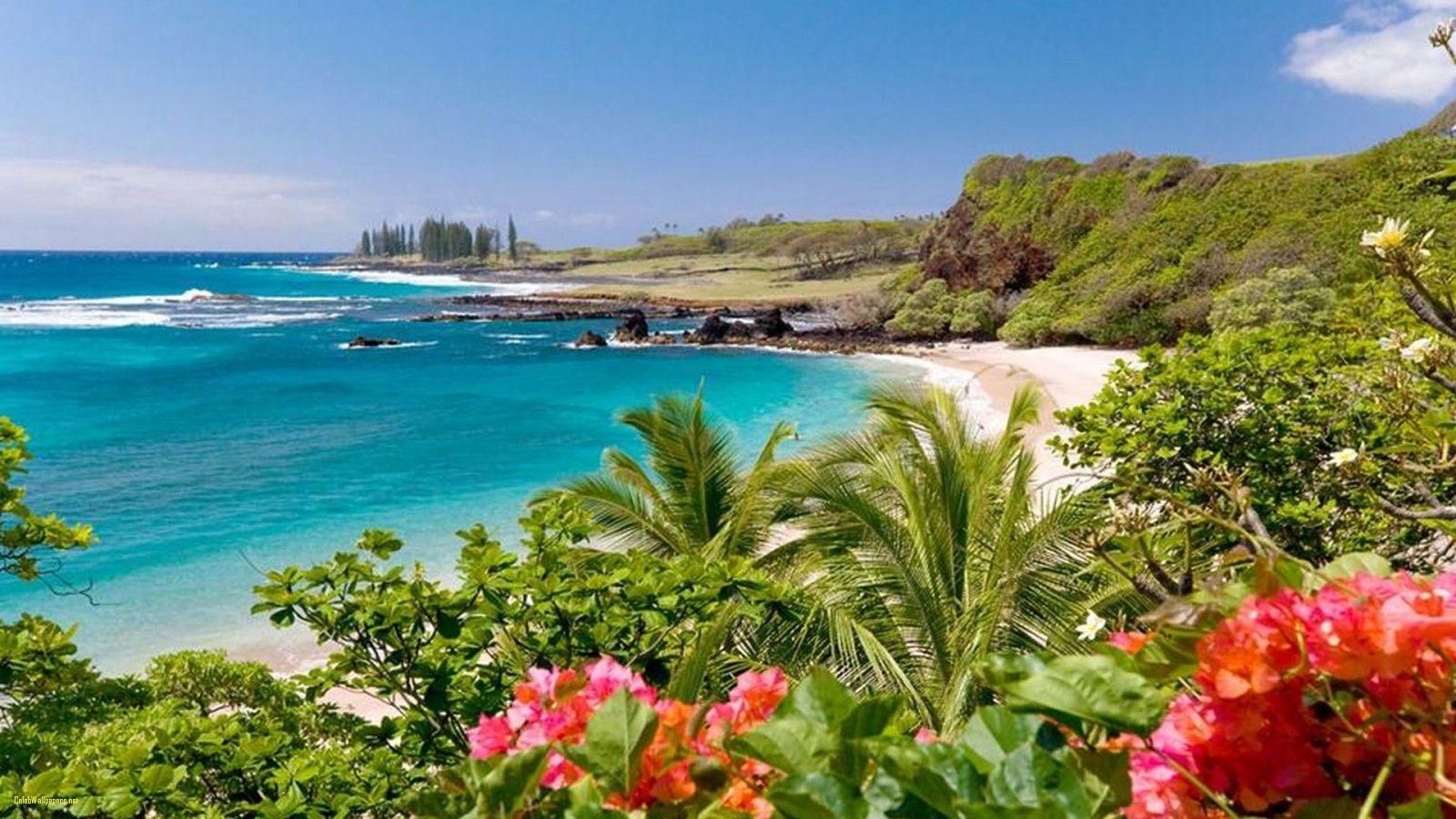1600x900 Maui Hawaii Wallpaper