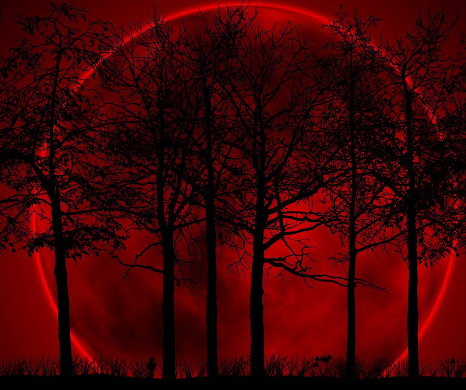 1531x1280 Red Forest wallpaper