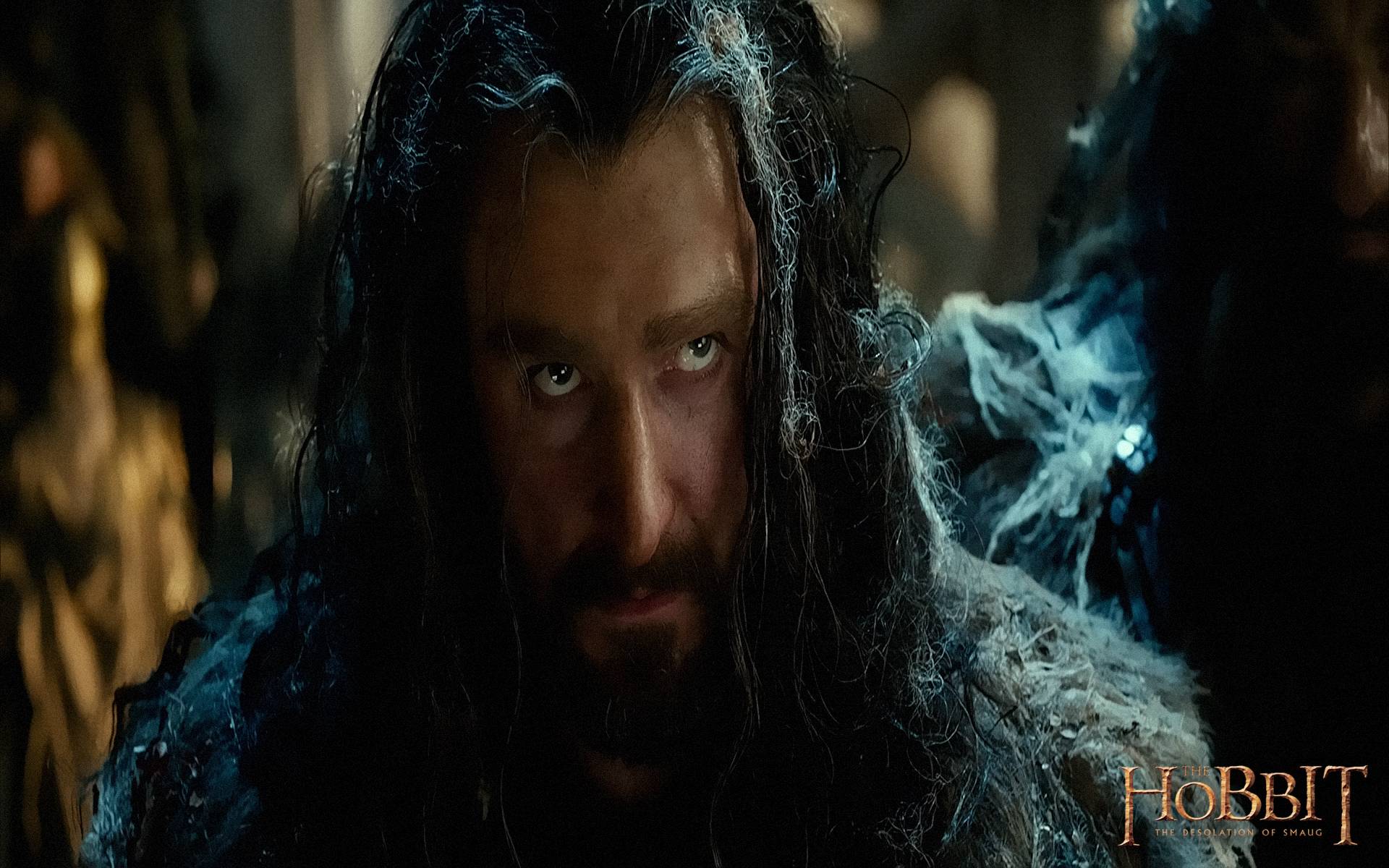 1920x1200 The Hobbit Desolation of Smaug wallpaper 1920x1200 (6)