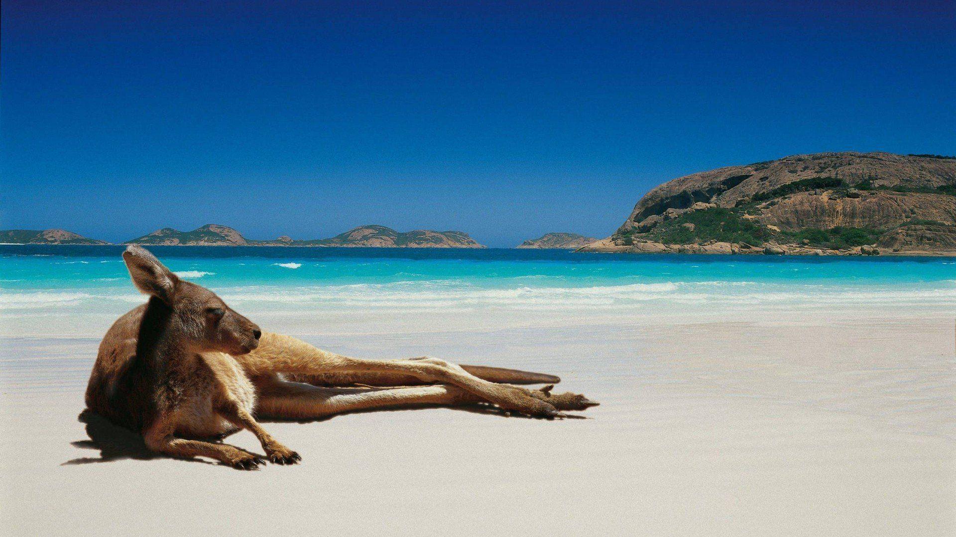 1920x1080 Australian Beach Wallpaper Background