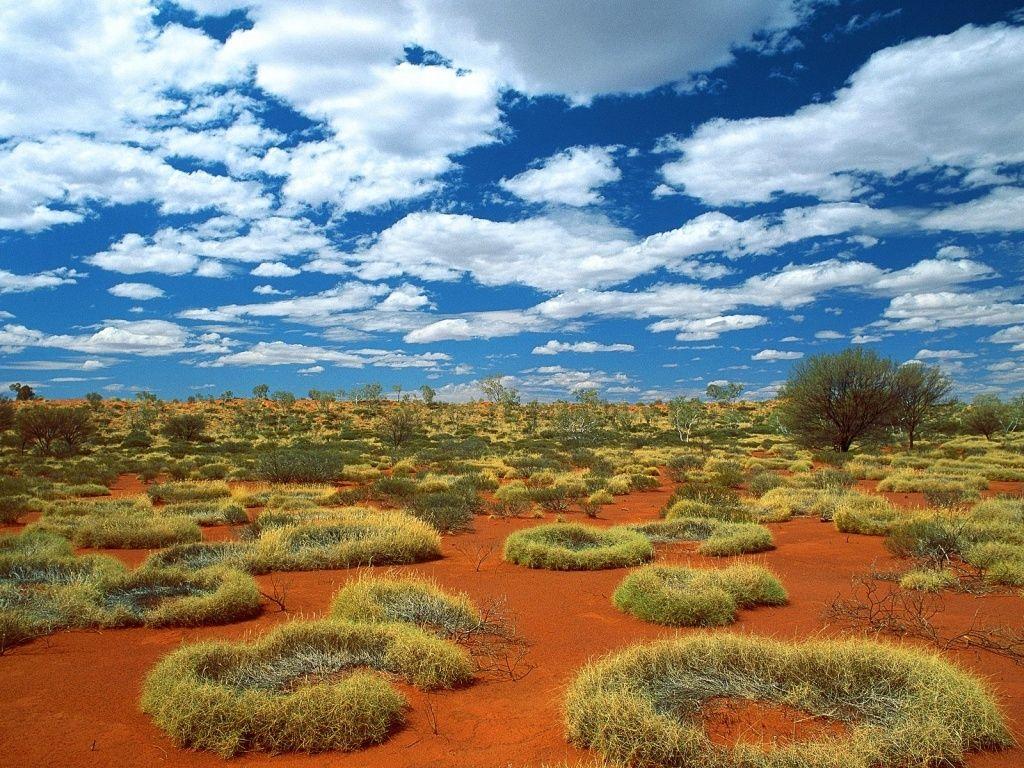 1024x768 Outback Wallpaper