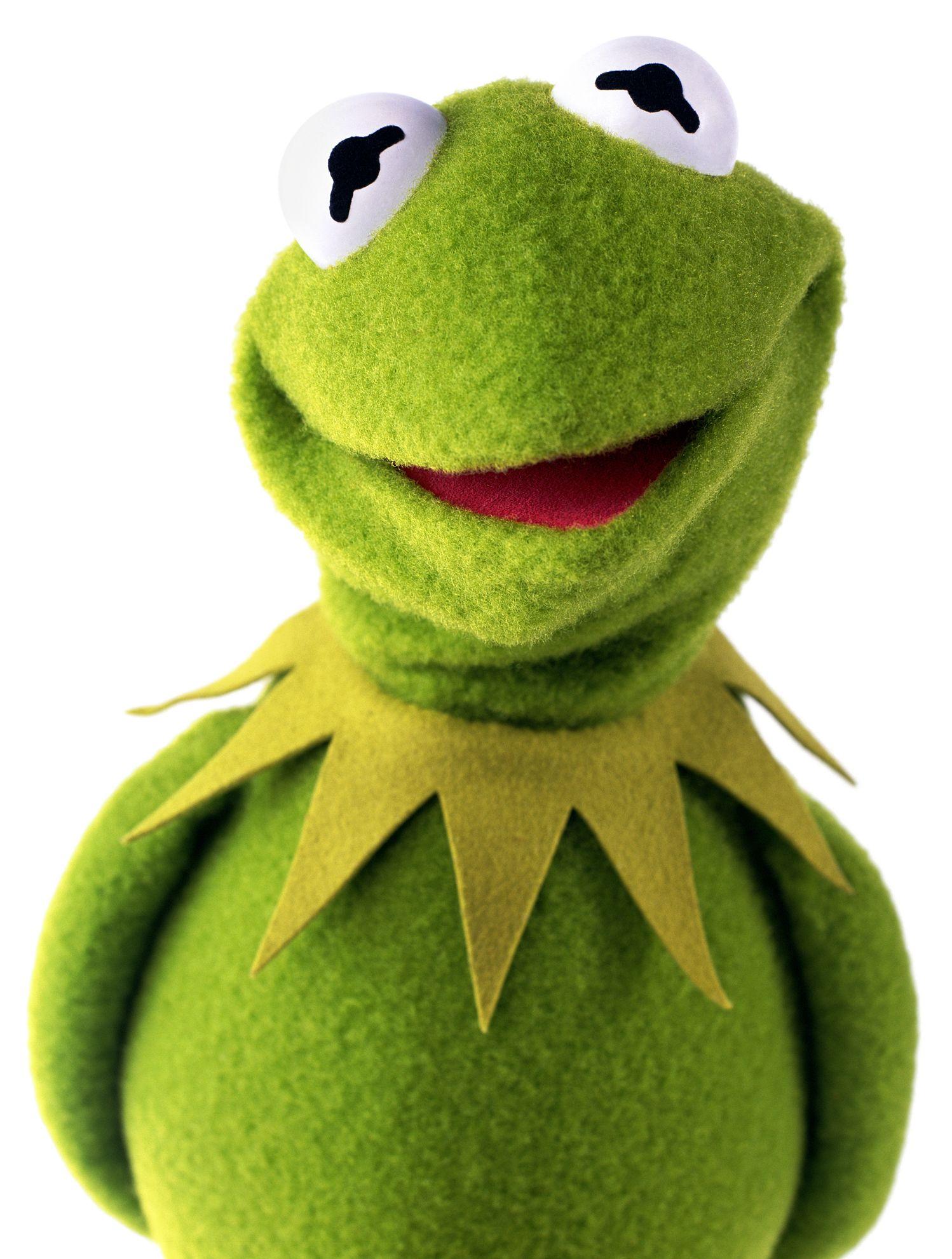 1498x1981 HD Kermit Wallpaper