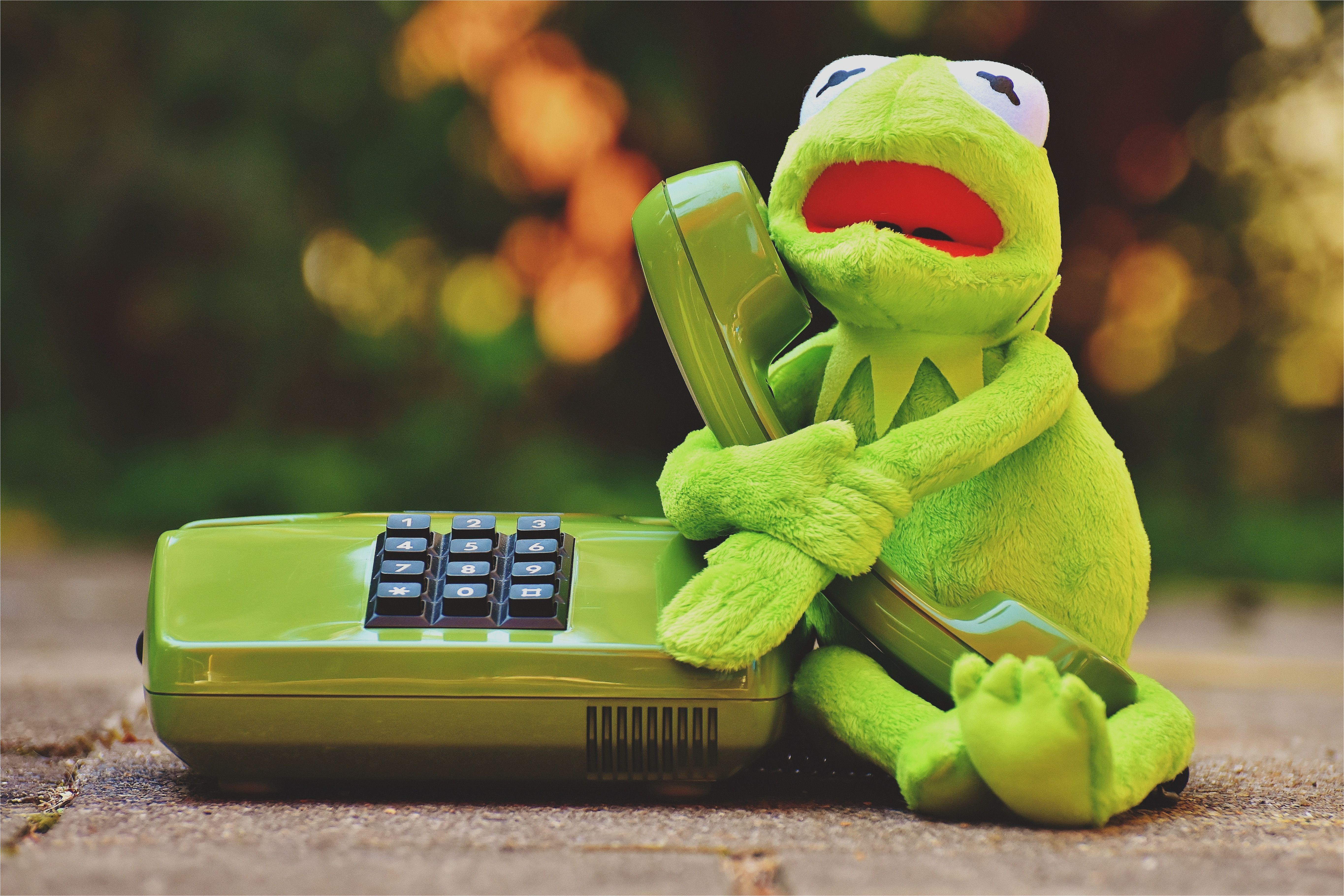5460x3640 Kermit The Frog Wallpaper