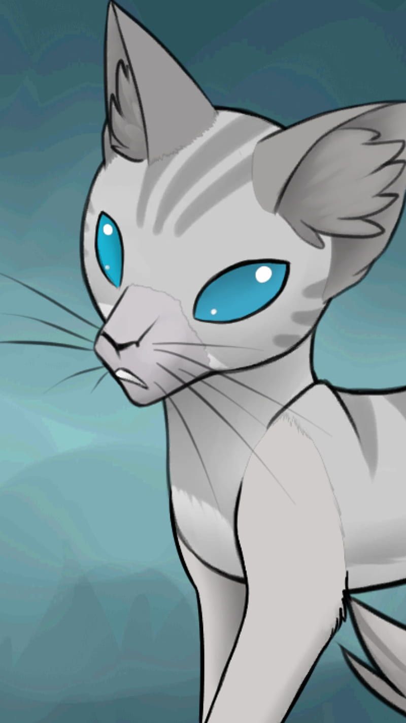 800x1422 Jayfeather, blind, cat, cats, erin
