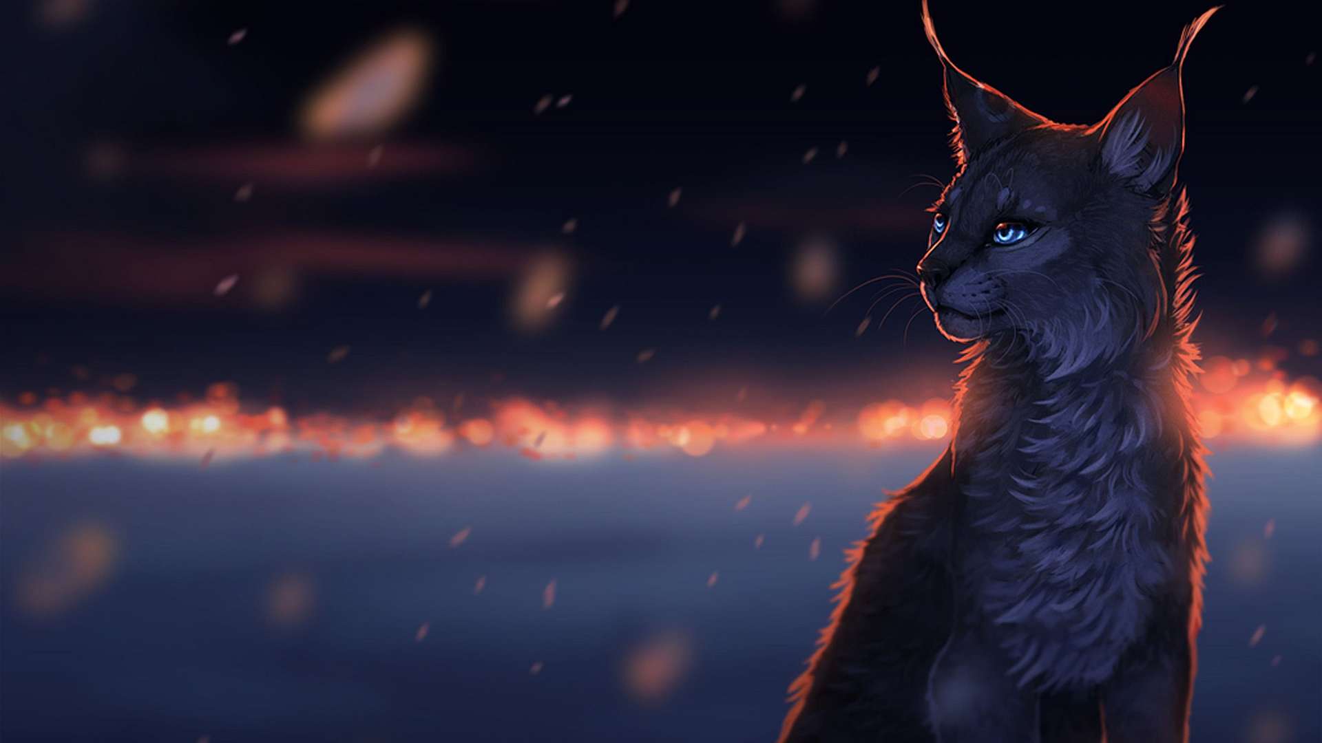 1920x1080 FIP Warriors