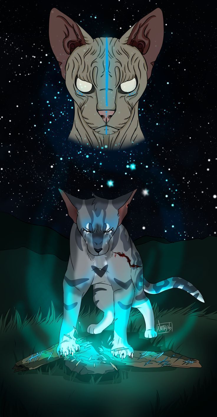 736x1414 Warrior cats books, Warrior cat drawings