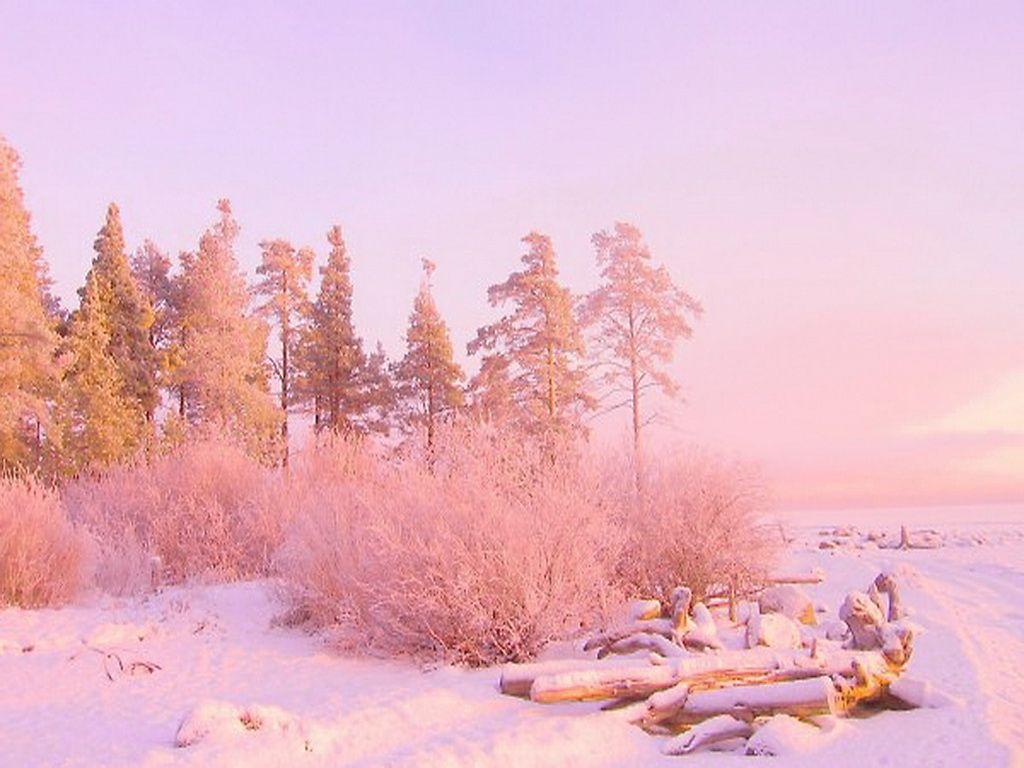 Hãy thưởng thức những bức hình nền về tuyết hồng đầy màu sắc và cảm giác lãng mạn. Màn hình máy tính của bạn sẽ trở nên ấm áp hơn với những bức ảnh đẹp về tuyết hồng này. Hãy cùng khám phá những hình nền máy tính đầy màu sắc và điểm nhấn về tuyết hồng để trang trí cho màn hình của mình.