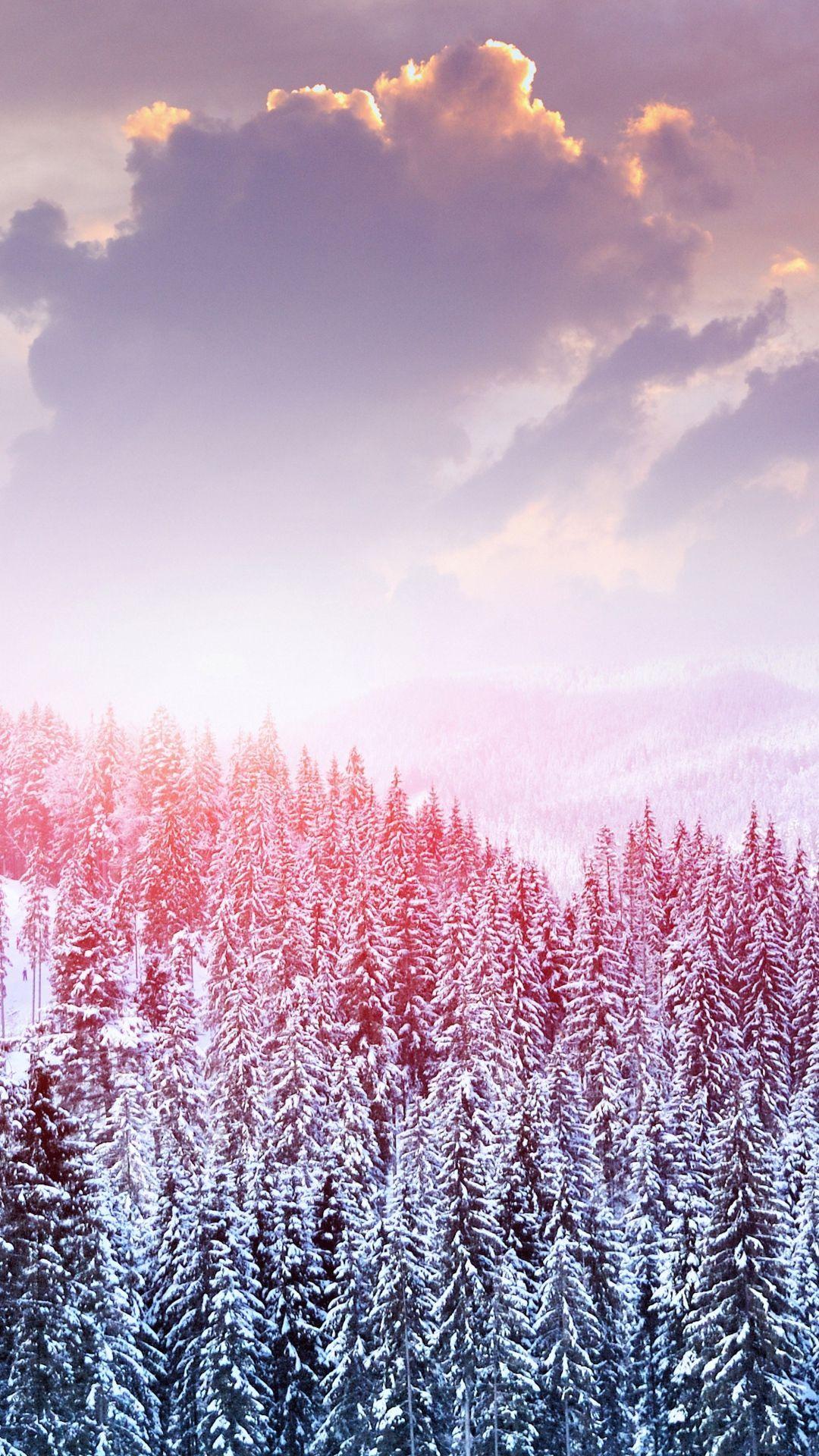 Pink Winter Wallpapers  Top Free Pink Winter Backgrounds  WallpaperAccess