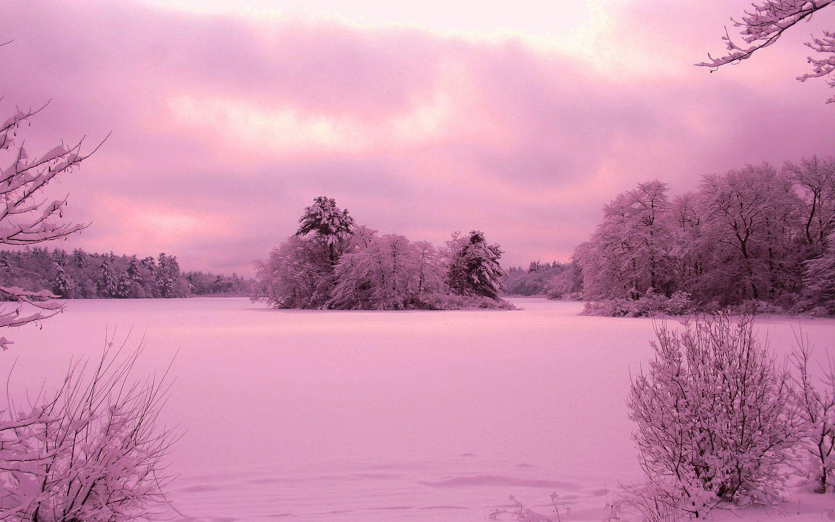 2001417 pink sky forests snow sunsets nature winter  Rare Gallery HD  Wallpapers