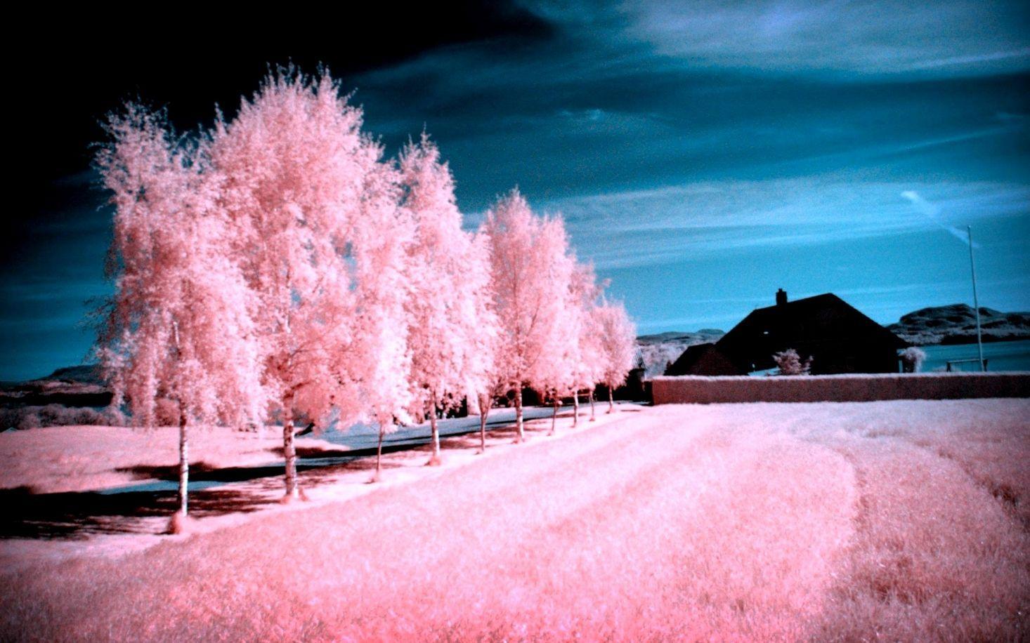 Pink Winter Wallpapers - Top Free Pink