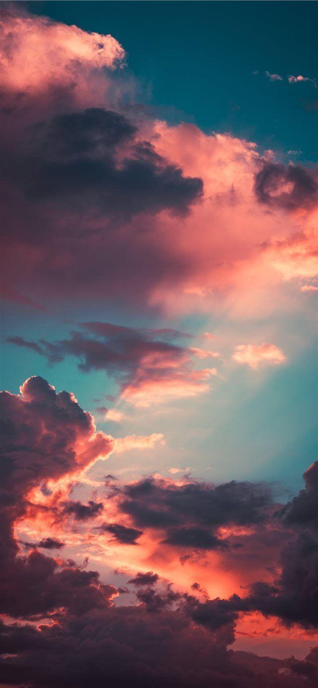 640x1385 My favourite cloudscape of the year iPhone X wallpaper #sun