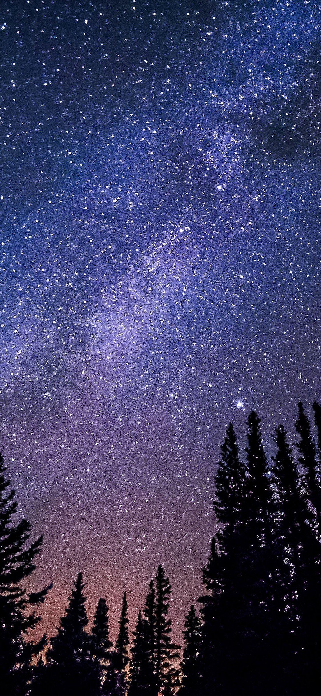 1125x2436 Nl59 Night Starry Sky Aurora Winter Night, HD